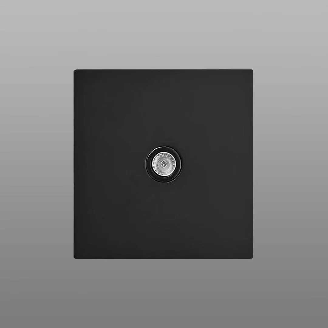 TV Socket in Matt Gold / Matt Black Finish - Image 2